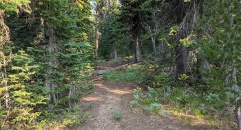 The trail has a good surface. 