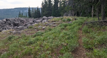 Hiking along some rock piles.