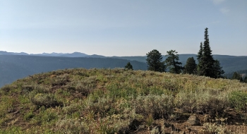 A nice overlook into the Little Minam at the end of the trail, covered in sagebrush.