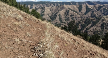 The trail traversing across an exposed slope. 