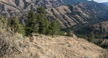 Looking across the Minam drainage