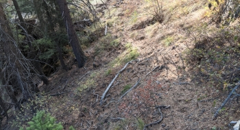 Trail just above Eagle Creek. 