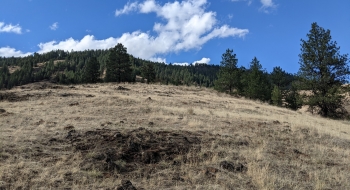 Looking up the grassy ridge where the trail disappears for awhile. 