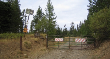 This is the gate you come out at the end. 