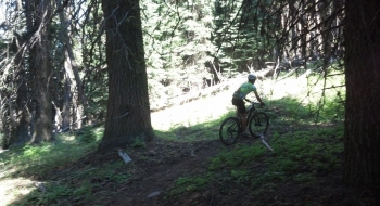 The trees are big on the singletrack that side hills on the north ridge.