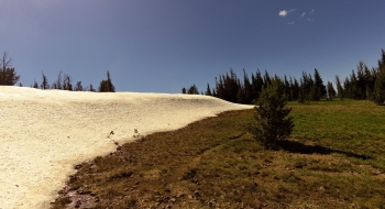 The trail is difficult to find in this area, especially with a big July snow bank.