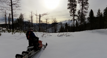 Getting to the burn