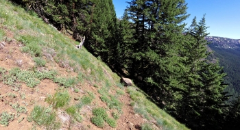 Somehow the boulder managed to stop on the trail. 