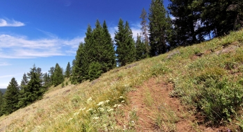 Trail finally decides to get on top of the ridge. 