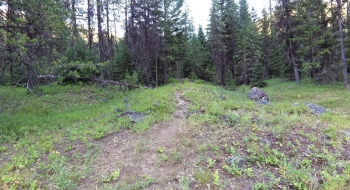 Beginning of Goat Creek Trail