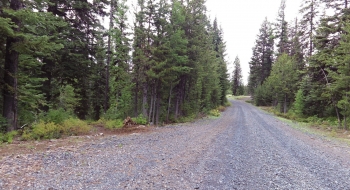 The trail starts here to the left, east of the main road. 