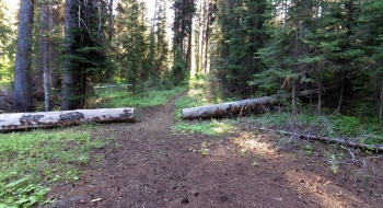 Trail begins just outside camp. 