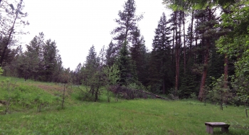 A nice meadow below the cabins, where you can cross the Little Minam for an alternate river ford.