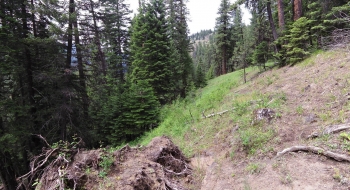 The trail on the Backbone Ridge needs some repair.