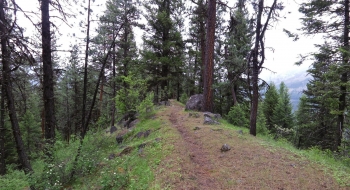 The trail when it gets to the top of Backbone Ridge before dropping down to the ranch.