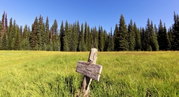 Trail junction sign at Deadhorse Flat