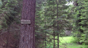 Trail sign on the Minam Trail, marking where the ford happens. 