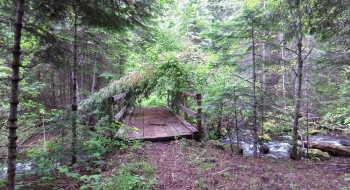 Footbridge at Murphy Creek