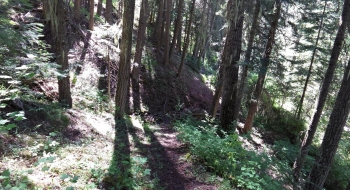 Intersection with Tombstone Lake Trail (Elk Creek)