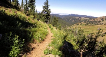 Last stretch, looking down the Little Minam toward Moss Springs.