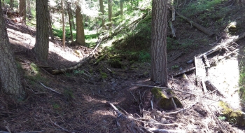 A dry creek crossing up higher.