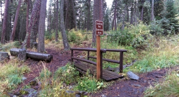 Just before this bridge in the pet exercise area, take the trail to the right and start climbing up that. 
