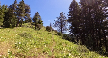 The run in toward Echo Lake.