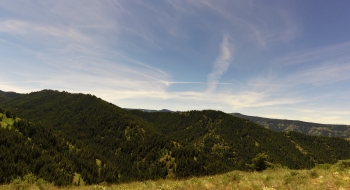 Looking down in the Murphy Creek drainage. 