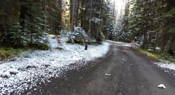 Trail starts on the left below the parking lot. 