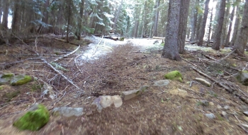 Trail heads straight up near the start. 