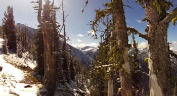 Looking south from the trail. 