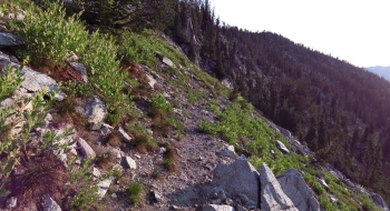 Trail takes a very long traverse across the slope.