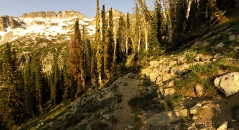 Trail swings for a nice view of the Trail Creek basin