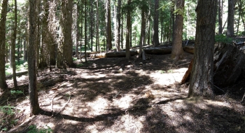 Looking back just after the trail junction with Lakeys Hole Trail (right)