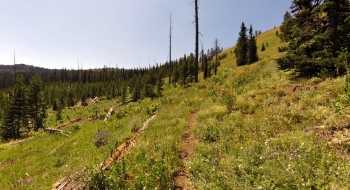 Dropping down Meadow Mountain. 