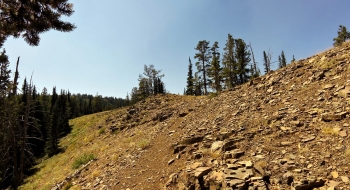 Rocky trail on the other side. 