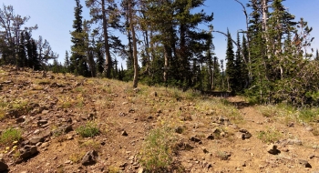 Top of the pass on Meadow Mountain.