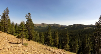 On Meadow Mountain you get a view of High Hat Butte an Burger Butte.