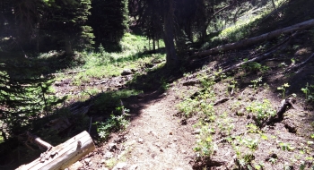 One of the crossings of Little Bear Creek up higher.