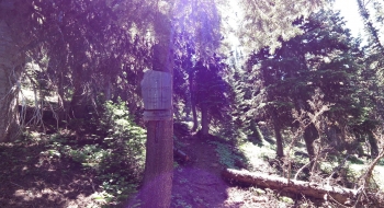 The only signage on the trail. 