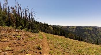 Looking south at McCubbin Basin, at the end of the trail where it connects with Storm Lake Trail.