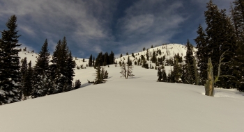 Looking into McCubbin Basin from the trail.