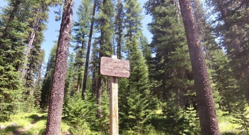 Sign at start of stock trail. 